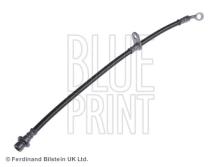 Blue Print ADH253205