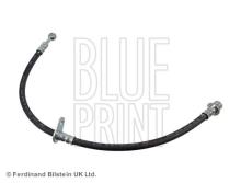 Blue Print ADH253209