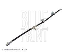 Blue Print ADH25321