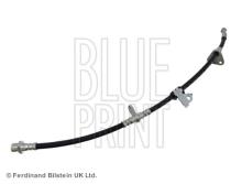 Blue Print ADH25322