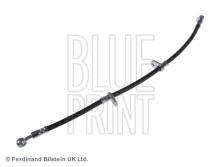 Blue Print ADH25324