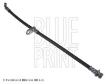 Blue Print ADH25366