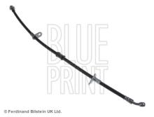 Blue Print ADH25372