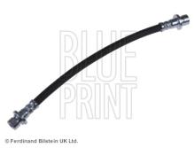 Blue Print ADH25386