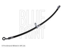 Blue Print ADH25392