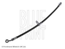 Blue Print ADH25393