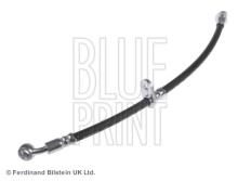 Blue Print ADH25399