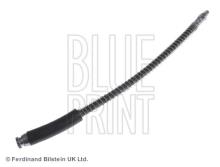 Blue Print ADJ135302