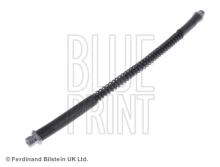 Blue Print ADJ135306