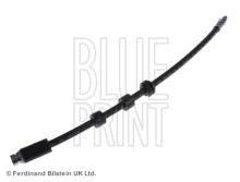 Blue Print ADJ135310
