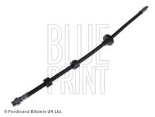 Blue Print ADJ135318