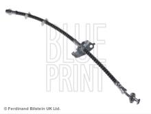Blue Print ADJ135324