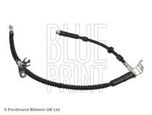 Blue Print ADJ135331