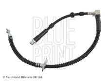 Blue Print ADJ135332