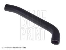 Blue Print ADJ136104