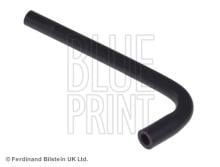 Blue Print ADJ136106