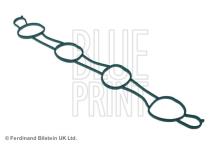 Blue Print ADJ136202