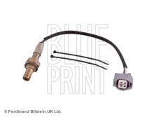 Blue Print ADJ137024