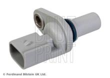 Blue Print ADJ137213