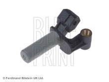 Blue Print ADJ137214