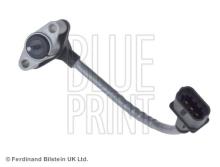 Blue Print ADJ137216