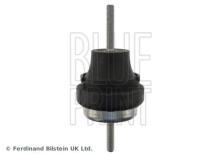 Blue Print ADJ138065