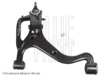 Blue Print ADJ138611
