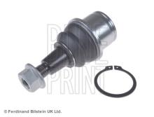 Blue Print ADJ138615