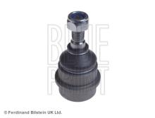 Blue Print ADJ138621