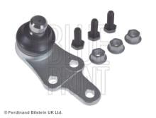 Blue Print ADJ138622