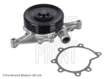 Blue Print ADJ139102