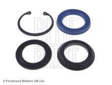 Blue Print ADJ139502