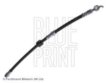 Blue Print ADM55350