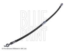 Blue Print ADM55364