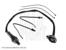 Blue Print ADM57066