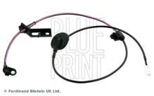 Blue Print ADM57125