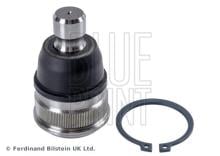 Blue Print ADM58656