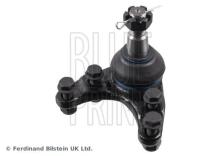 Blue Print ADM58686