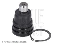 Blue Print ADM58693