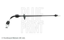 Blue Print ADN13841
