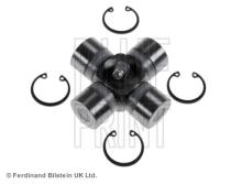 Blue Print ADN13912