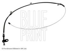 Blue Print ADN146273