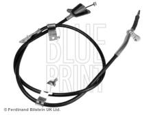 Blue Print ADN146294