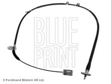 Blue Print ADN146296