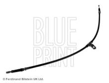 Blue Print ADN146333
