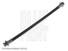 Blue Print ADN15303