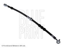 Blue Print ADN153116