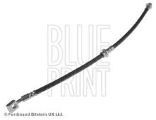 Blue Print ADN153120