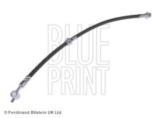 Blue Print ADN153131
