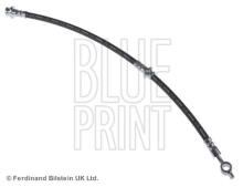 Blue Print ADN153132